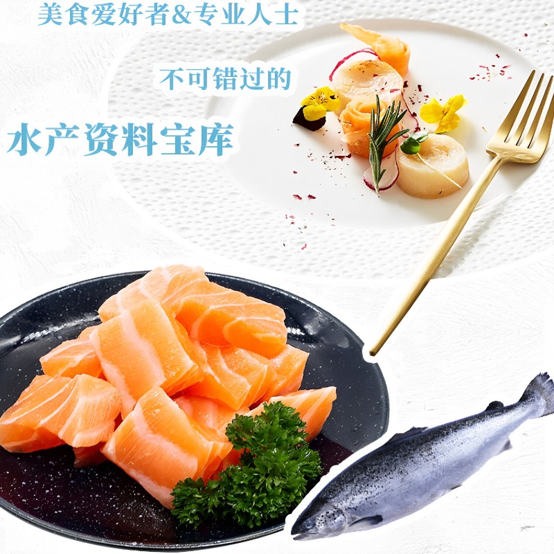 Recettes de fruits de mer DK 3 - Home Cooking Recipes avis et prix